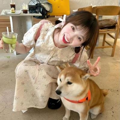 撒谎的侦探